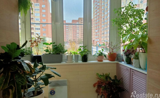 Продажа 1-комн квартиры на вторичном рынке Лесной Городок, ул Грибовская,  д. 6