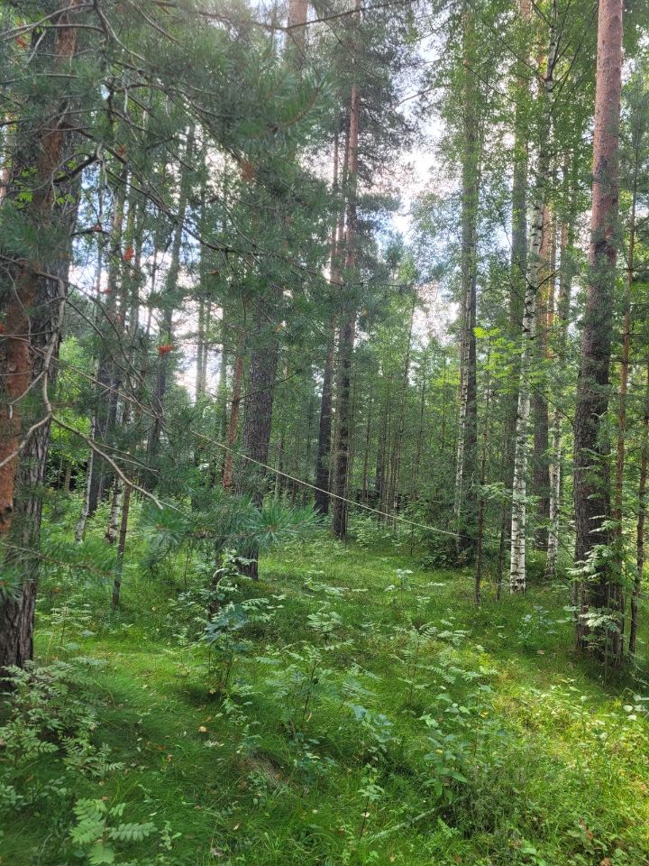 Продажа земли Всеволожск, проспект Козлова