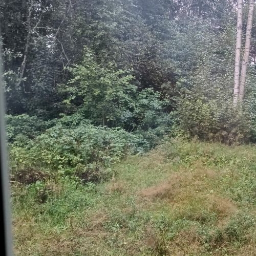 Коттедж/дом д. Петрушина Гора, улица Морская, 5А