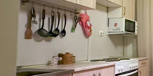 1-комн квартира Пушкин, Госпитальный переулок, 21к2