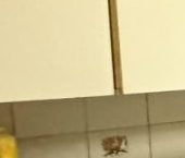 Продать Квартиры вторичка Люберцы, улица Побратимов, 18   