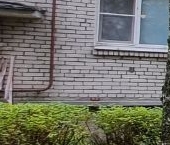 Продать Квартиры вторичка Павловск, Пионерская улица, 1к3   