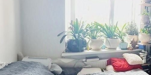 1-комн квартира улица Пионерстроя, 21к1