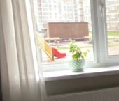 Продать Квартиры вторичка дорога Кушелевская, 7к4   