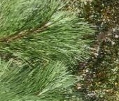 Продать Квартиры вторичка Открытое шоссе, 26К9   