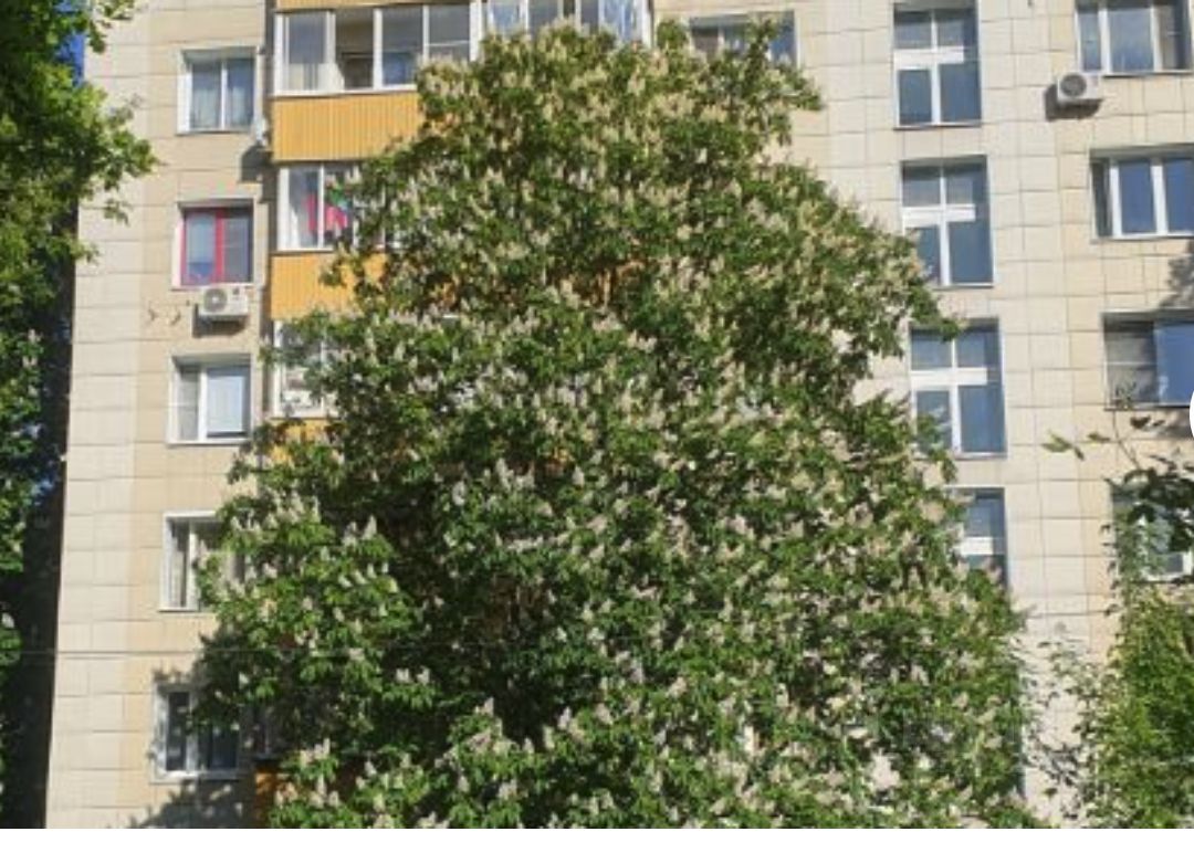 Продажа 2-комн квартиры на вторичном рынке Севастопольский проспект, 51К3