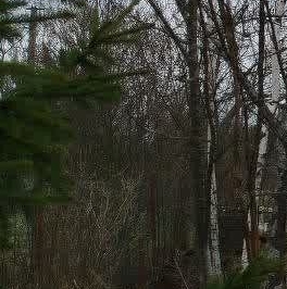 Продажа дома Посадников остров садоводческий массив, Маяк СНТ, 16-я линия, 154