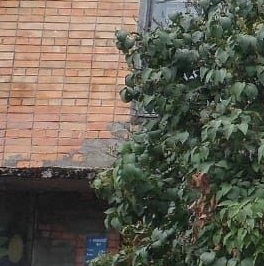 Продажа 2-комн квартиры на вторичном рынке пос. Торфяновка, 8Б Продажа 2-комн квартиры на вторичном рынке пос. Торфяновка, 8Б