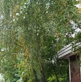 Продажа 2-комн квартиры на вторичном рынке Рублевское шоссе, 40К3