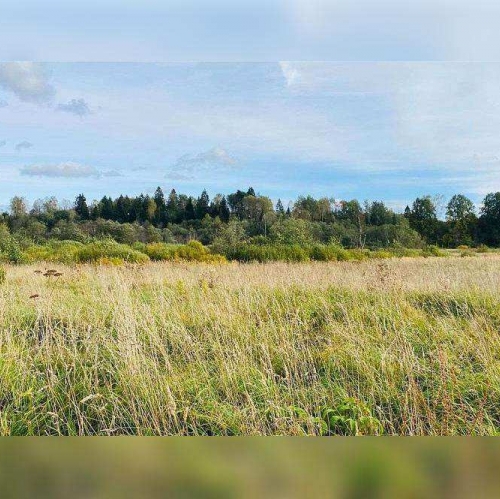 Земельный участок деревня Аргуново