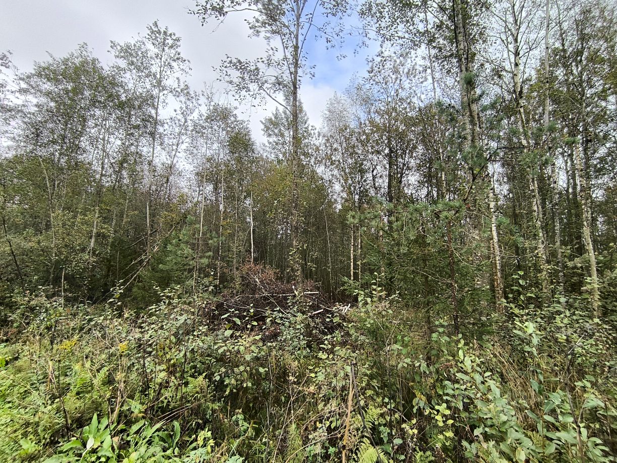 Продажа земли Славянка садовое товарищество, Коммунальщик СНТ, 9-я линия, 184