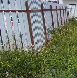 Продажа земли Ульяновка кп, Ульяновка пгт, 76 Продажа земли Ульяновка кп, Ульяновка пгт, 76