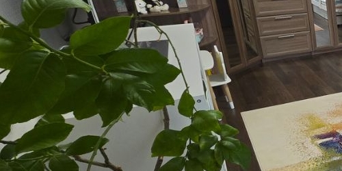 2-комн квартира Химкинский бульвар, 14к4