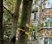 Продать Квартиры вторичка Пушкин, Красносельское шоссе, 29   