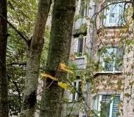 Продажа квартиры на вторичке Пушкин, Красносельское шоссе, 29