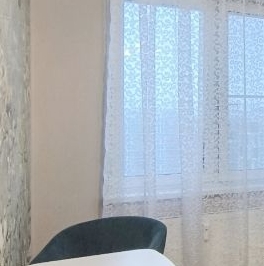 Аренда 1-комн квартиры на вторичном рынке проспект Маршала Блюхера, 8к1