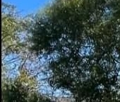 Продать Квартиры вторичка Московское шоссе, 3к5   