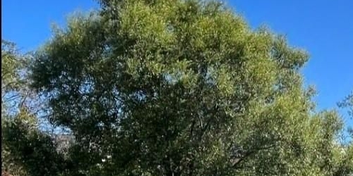 Студия Московское шоссе, 3к5