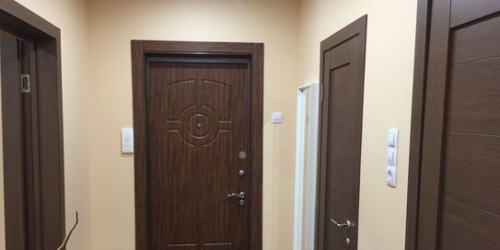 1-комн квартира улица Вилиса Лациса,  д. 42