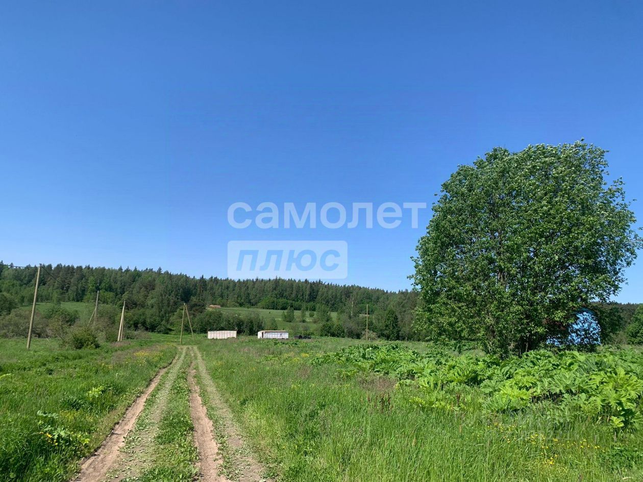 Продажа земли д. Усадище, улица Береговая, 6