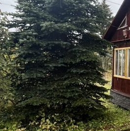 Продажа дома Пупышево садоводческий массив, Сигнал СНТ, 17-я линия