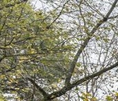 Продать Квартиры вторичка Врачебный проезд, 8К2   