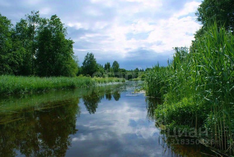 Продажа земли д. Мышкино, улица Цветочная