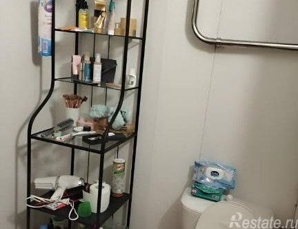 Аренда 1-комн квартиры на вторичном рынке ул Рождественская,  д. 25,  к. 1