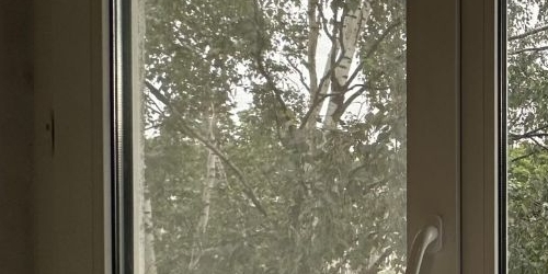 2-комн квартира улица Бабушкина, 95к1