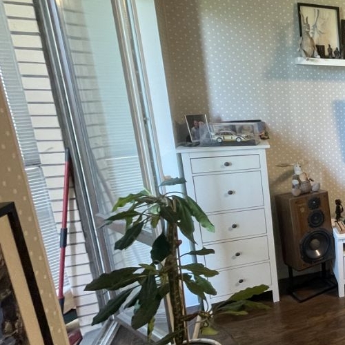 1-комн квартира Кондратьевский проспект, 62к7