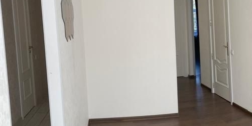 3-комн квартира улица Савушкина, 13