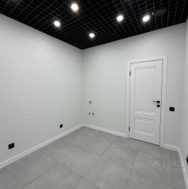 Аренда ПСН Староконюшенный пер,  д. 32