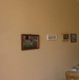 Аренда 1-комн квартиры на вторичном рынке 1 Мая мкр, Балашиха, 36 Аренда 1-комн квартиры на вторичном рынке 1 Мая мкр, Балашиха, 36