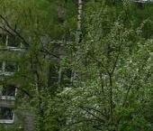 Продать Квартиры вторичка пос. Щеглово, 56   