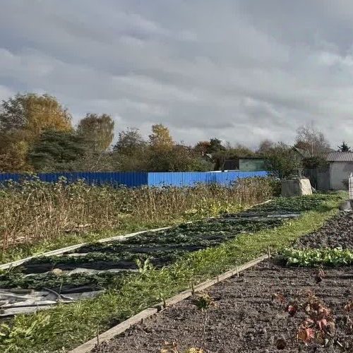 Коттедж/дом Коммунар г., улица Антропшинская, 235А