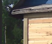 Продать Земельные участки, земля Восточное Радофинниково садоводческий массив, Климово СНТ  158 