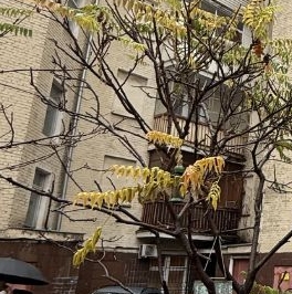 Аренда 2-комн квартиры на вторичном рынке Шмитовский проезд, 6