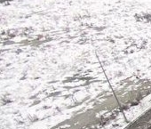 Сдать в аренду Квартиры вторичка д. Новосаратовка, улица Первых, 4к5   