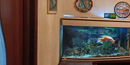 3-комн квартира 5-й Предпортовый проезд, 1