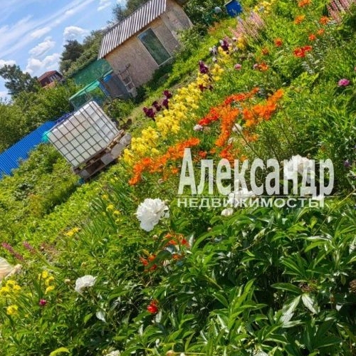 Коттедж/дом Коммунар г., улица Антропшинская, 235