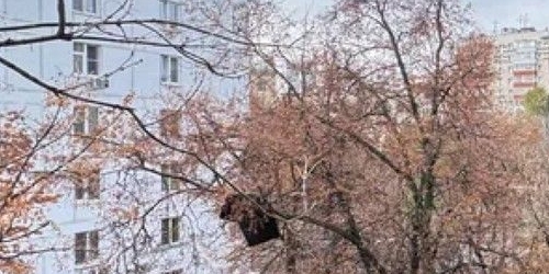 3-комн квартира улица Малая Грузинская, 33