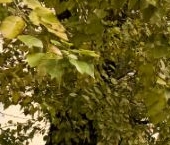 Продать Квартиры вторичка Садовническая улица, 77С2   