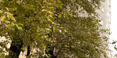 Студия Садовническая улица, 77С2