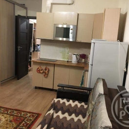 Продажа студии Ветеранов просп.,  д. 169,  к. 2