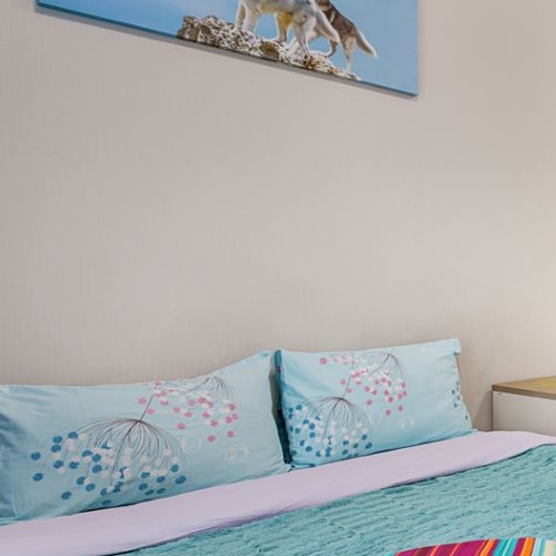 Студия пос. Парголово, проезд Толубеевский, 8к2