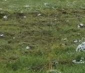 Продать Земельные участки, земля д. Клинково, улица Центральная, 23   