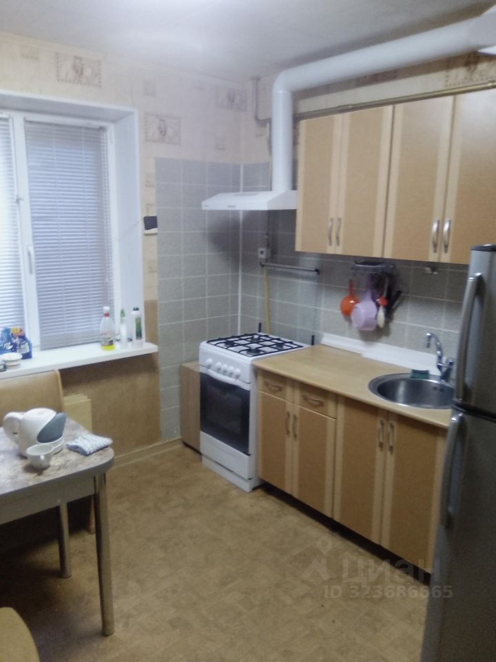 Аренда 1-комн квартиры на вторичном рынке д. Елизаветинка, улица Центральная, 1/48