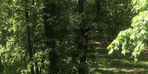 2-комн квартира Кастанаевская улица, 32К2