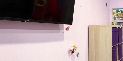 2-комн квартира Пушкин, Артиллерийская улица, 6