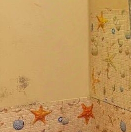 Продажа комнаты пос. Шушары, Ленсоветовский тер., 25 Продажа комнаты пос. Шушары, Ленсоветовский тер., 25